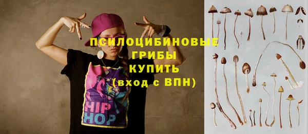 первитин Нея