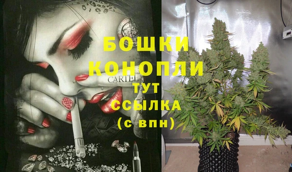 дурь Новозыбков