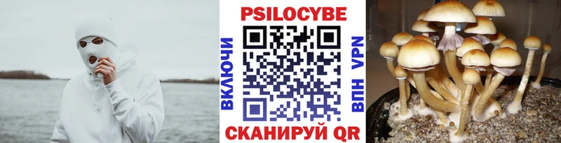 Галлюциногенные грибы мухоморы  дарк нет какой сайт  Нефтекумск 